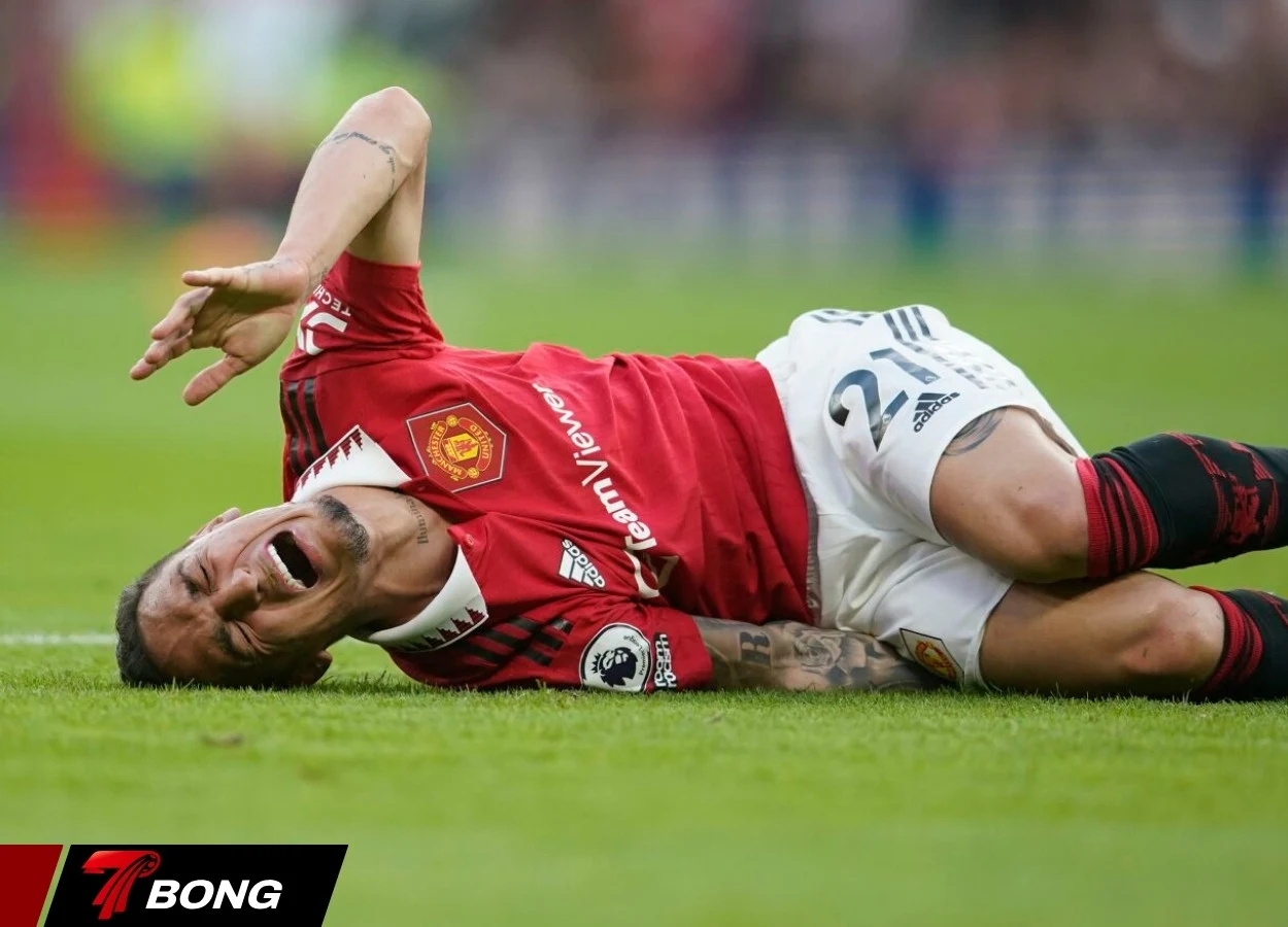 Antony điều trị chấn thương vùng xương mu