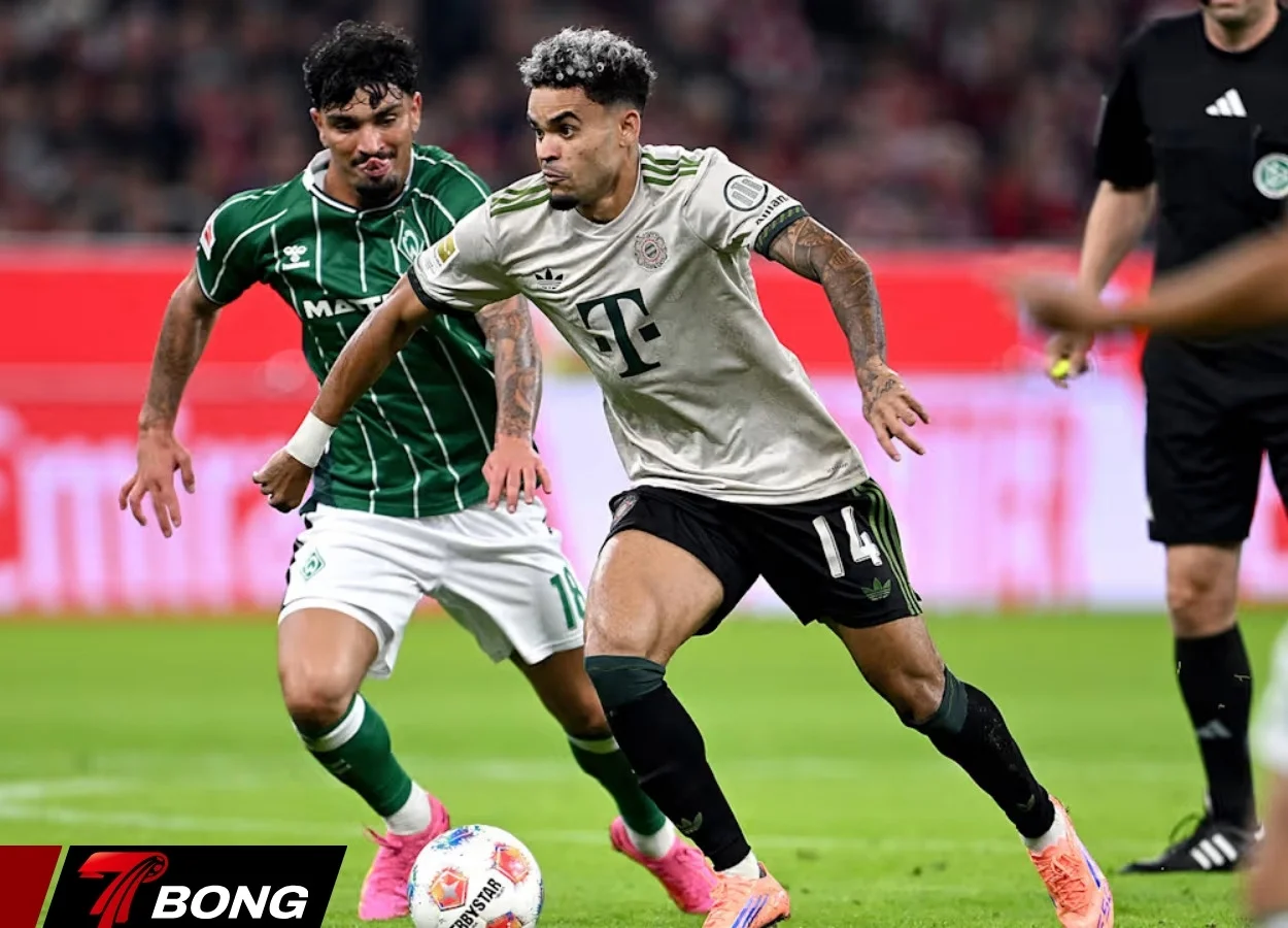 Cẩm nang trải nghiệm Valentine