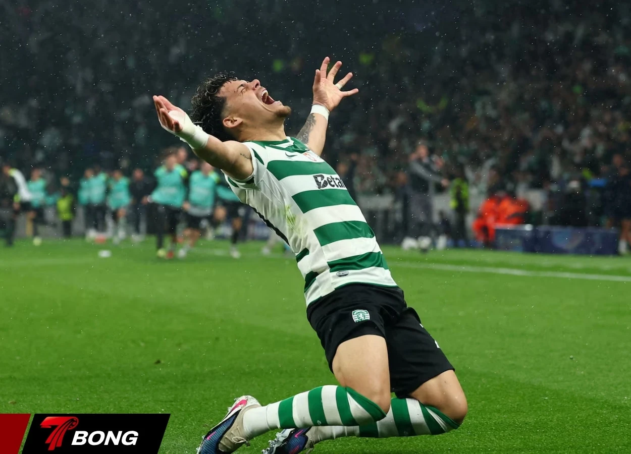Cổ động viên Sporting ăn mừng vé tứ kết