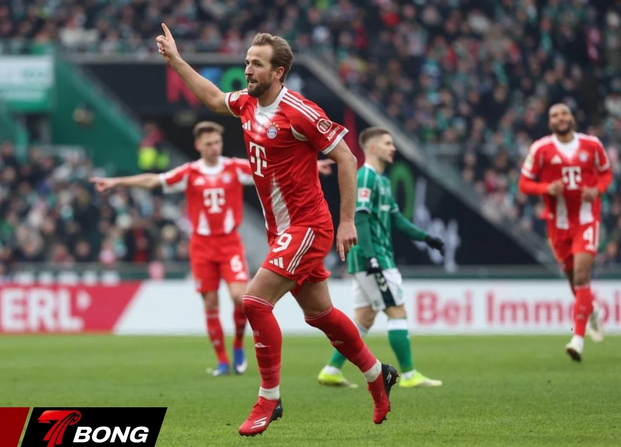 Kane ăn mừng sau bàn thắng quan trọng