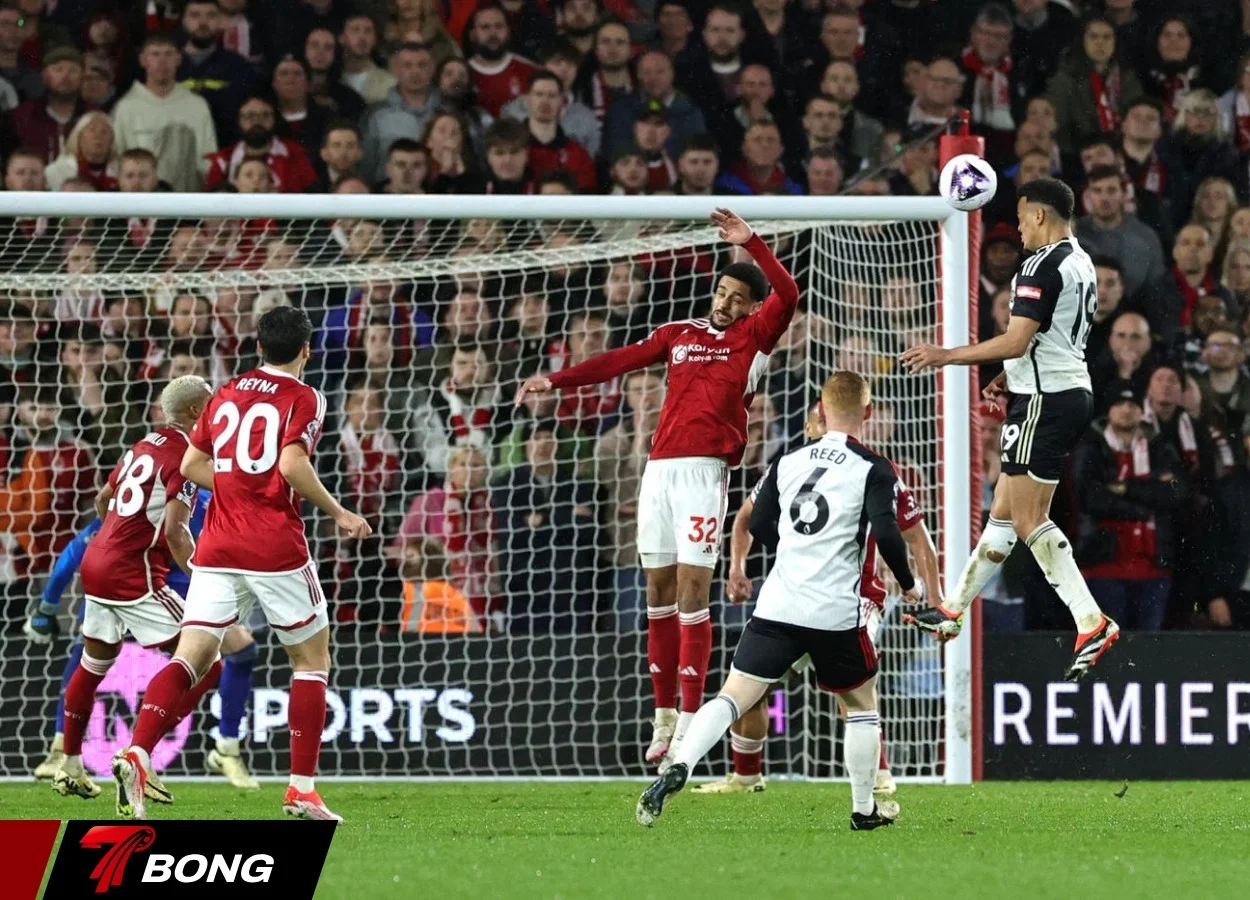 Tình hình lực lượng và dự đoán tỷ số trận Nottingham vs Fulham