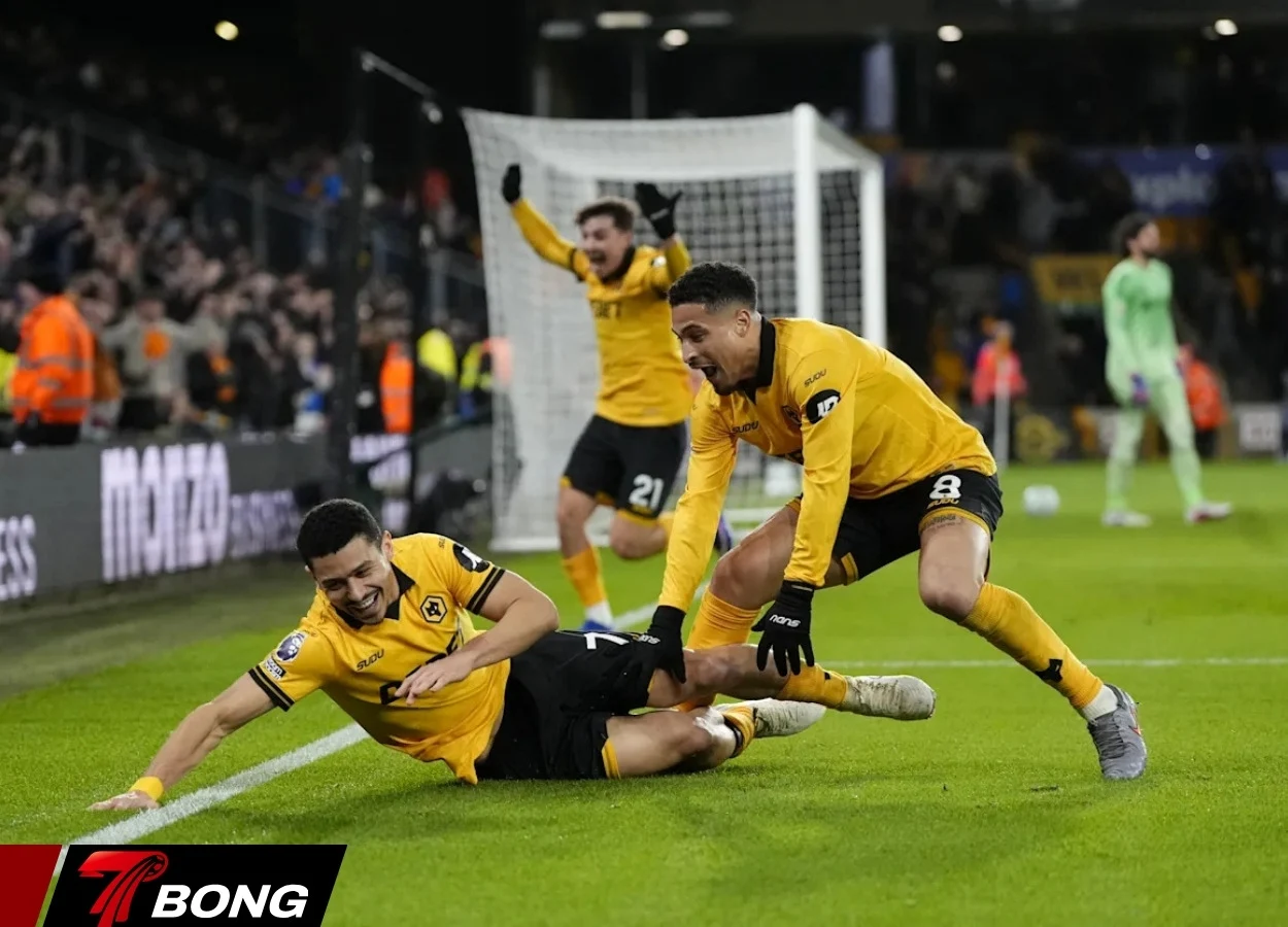 Wolves ăn mừng bàn thắng vào lưới Liverpool