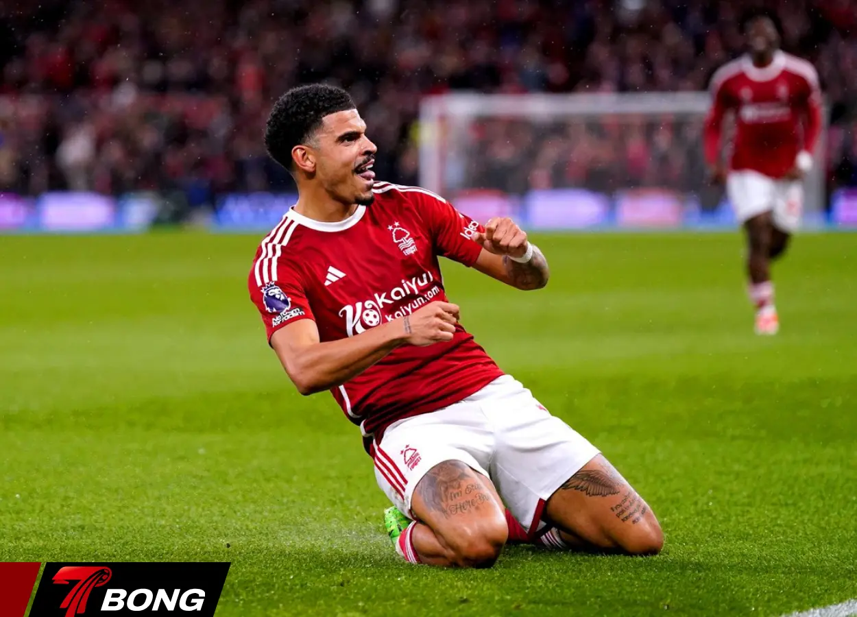 Gibbs-White thăng hoa tại Forest