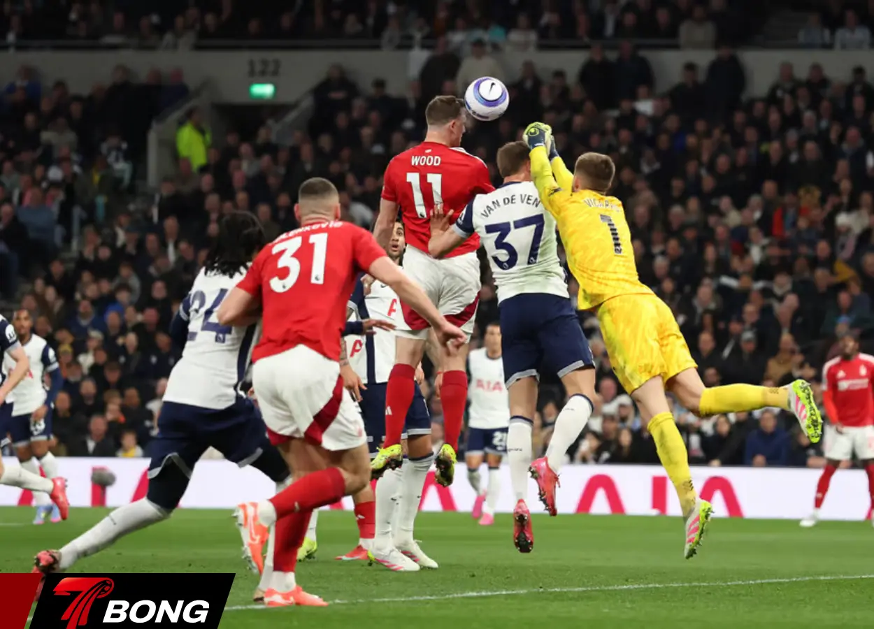 Tottenham Hotspur với phong độ không thể thảm bại hơn